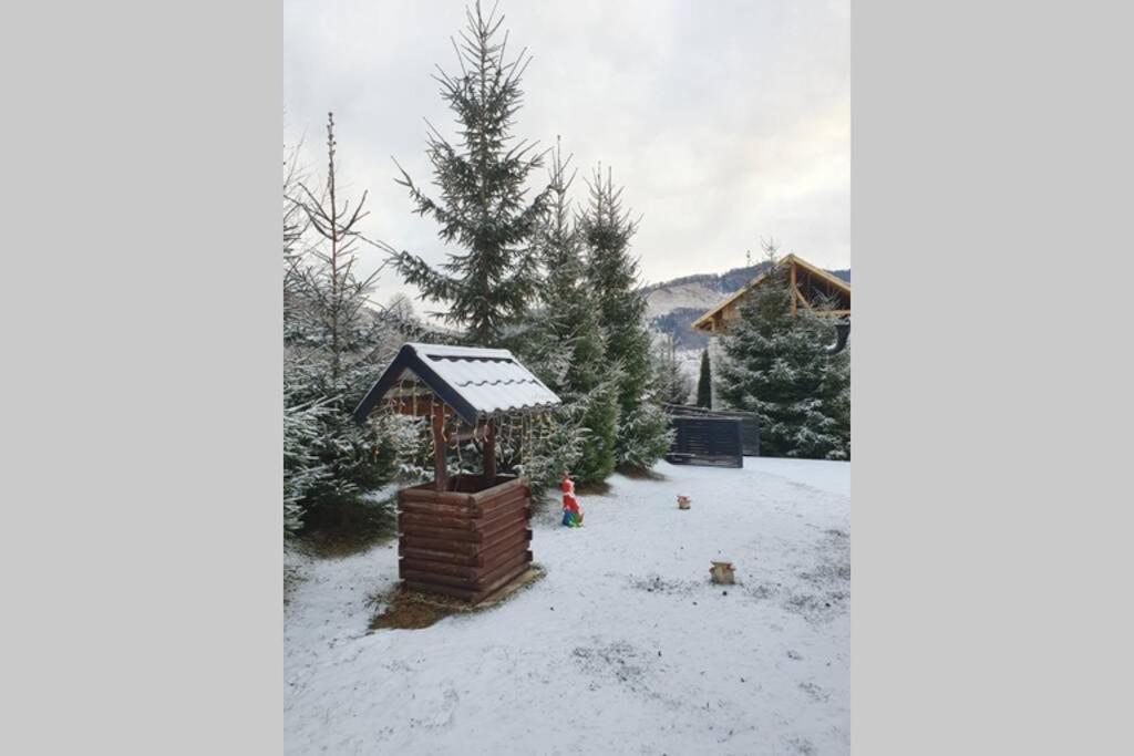 Casuta Alesia, relaxare la poalele Raraului. Villa Vama  Exterior foto