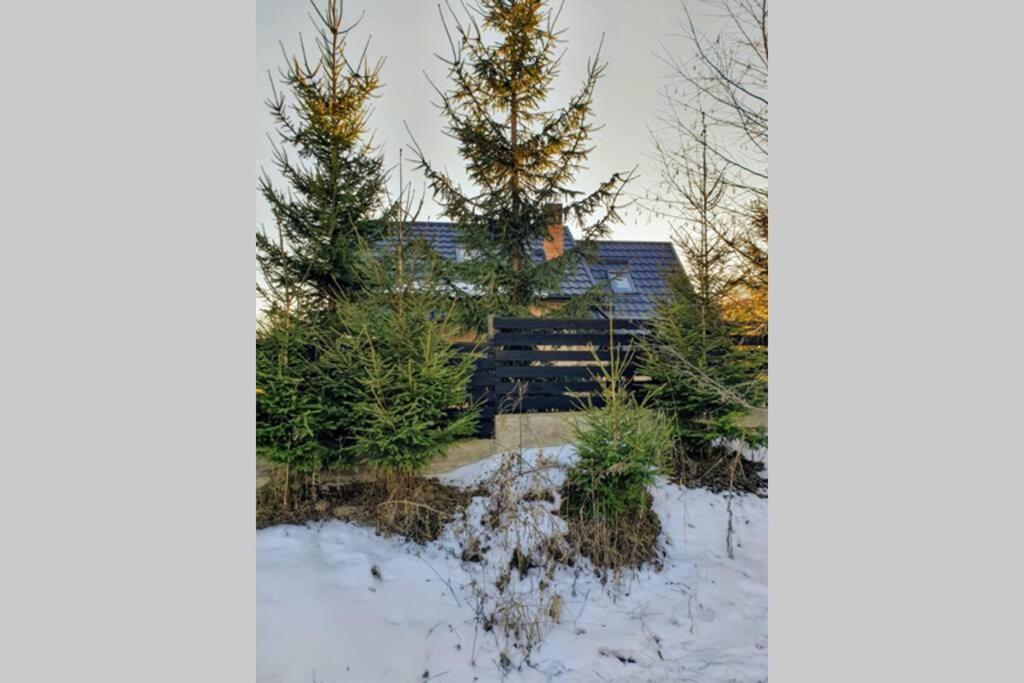 Casuta Alesia, relaxare la poalele Raraului. Villa Vama  Exterior foto