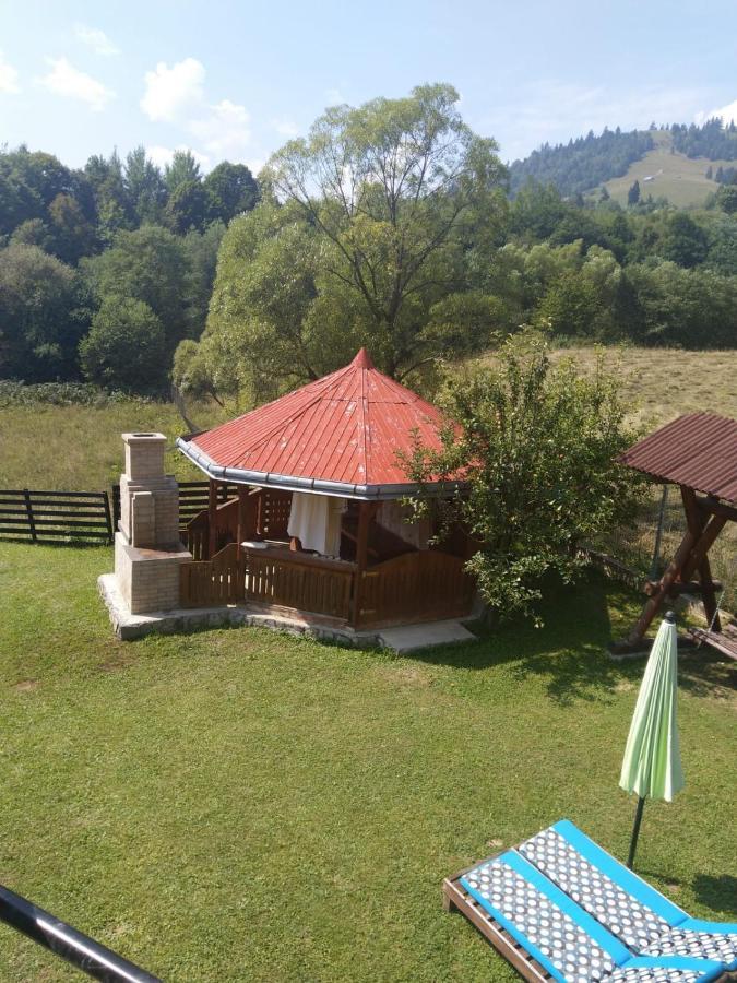 Casuta Alesia, relaxare la poalele Raraului. Villa Vama  Exterior foto