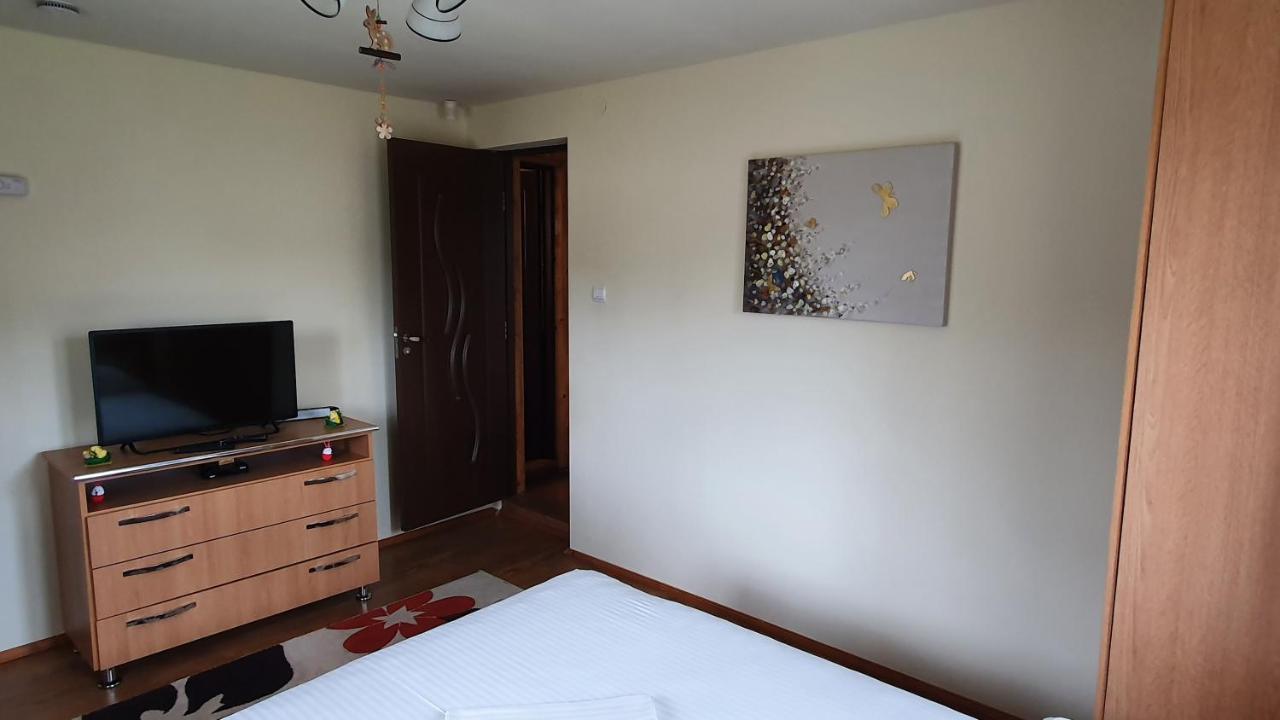 Casuta Alesia, relaxare la poalele Raraului. Villa Vama  Exterior foto