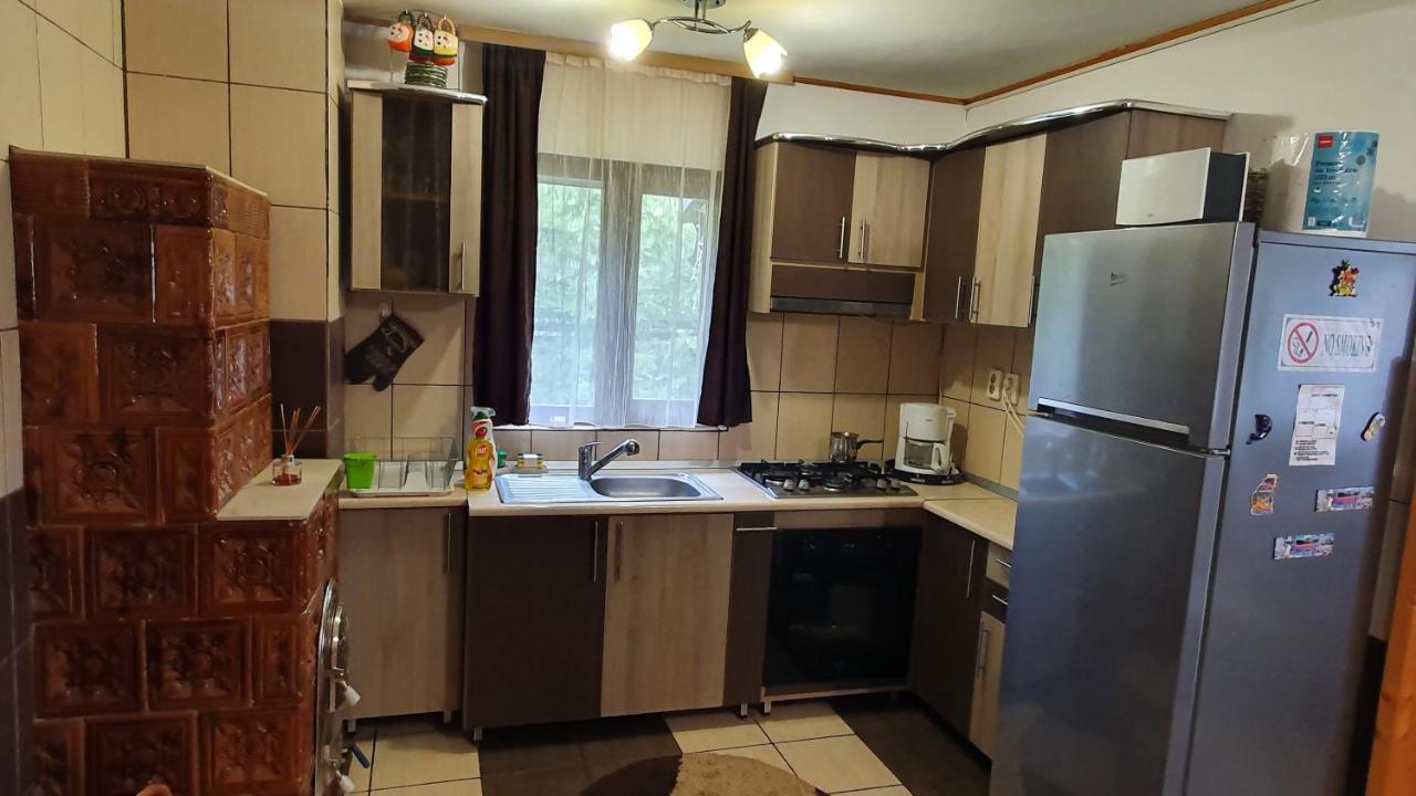 Casuta Alesia, relaxare la poalele Raraului. Villa Vama  Exterior foto